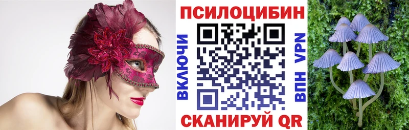 Псилоцибиновые грибы ЛСД  нарко площадка клад  Биробиджан 